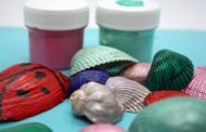 Comment vernir des coquillages ?
