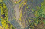 Découvrez l’Huile d’Algues : Trésor Naturel aux Multiples Vertus