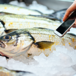 découvrez les meilleures applications mobiles pour vérifier facilement et rapidement la fraîcheur de la morue, garantir la qualité de vos achats et consommer du poisson en toute sécurité.