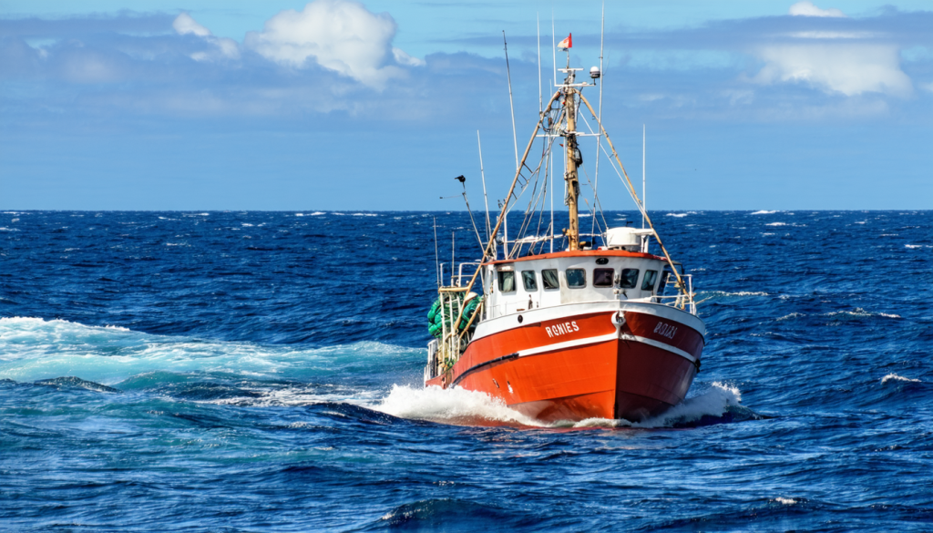 découvrez les dernières innovations écologiques dans la pêche à la morue : techniques durables, protection de l’environnement marin et solutions pour préserver les ressources halieutiques.