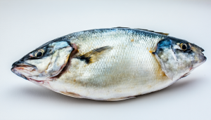 découvrez les principaux défis logistiques liés à la morue congelée : stockage, transport, respect de la chaîne du froid et solutions pour garantir sa qualité jusqu’au consommateur final.