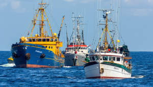 découvrez les principales entreprises mondiales spécialisées dans la pêche à la morue, leur impact économique, leurs techniques de pêche et leur rôle dans l'industrie des produits de la mer.