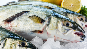 découvrez comment la morue s’intègre dans une alimentation durable, en alliant bienfaits pour la santé et respect de la planète. conseils et astuces pour consommer responsable.